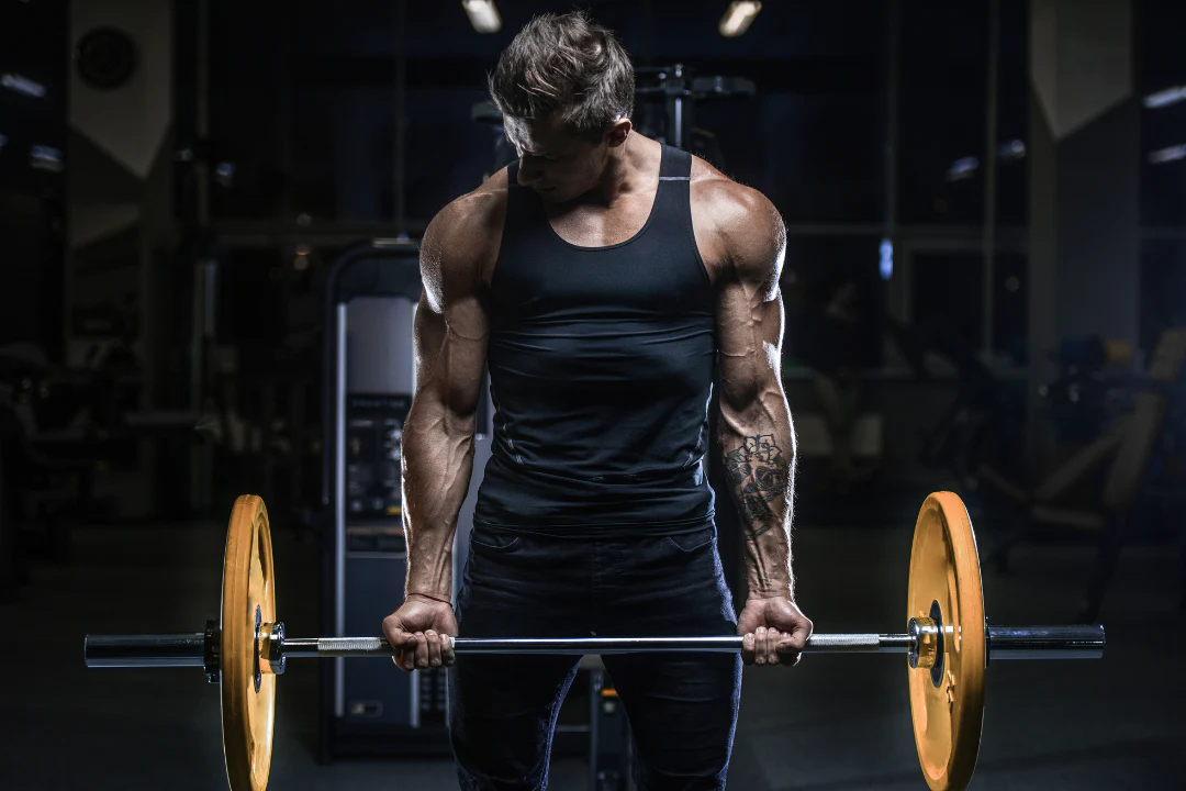 Muscle Building Program